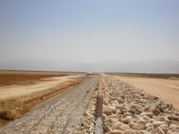 בראשי, נחל צין, חברות בנייה גדולות