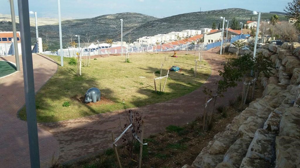 בראשי, פיטוח שטחים ציבוריים, קבלן ביצוע