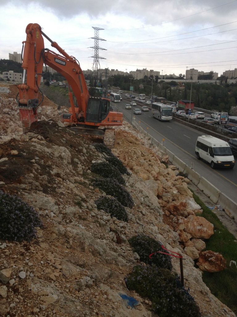 בראשי, כביש ירושלים, קבלן פיתוח, תשתית